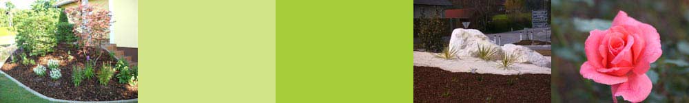 banner5.jpg