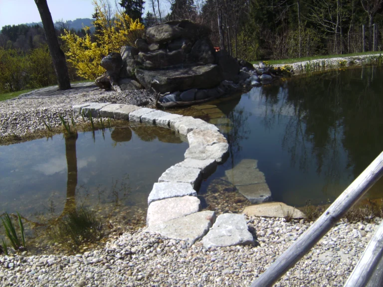 Gartenkonzept mit Steine im Teich