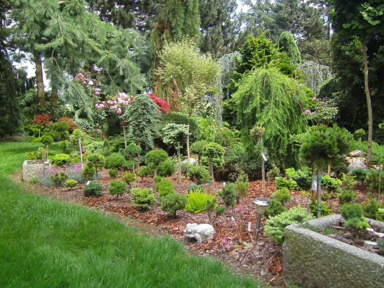 Gartenplanung mit Beeten und Sträuchern