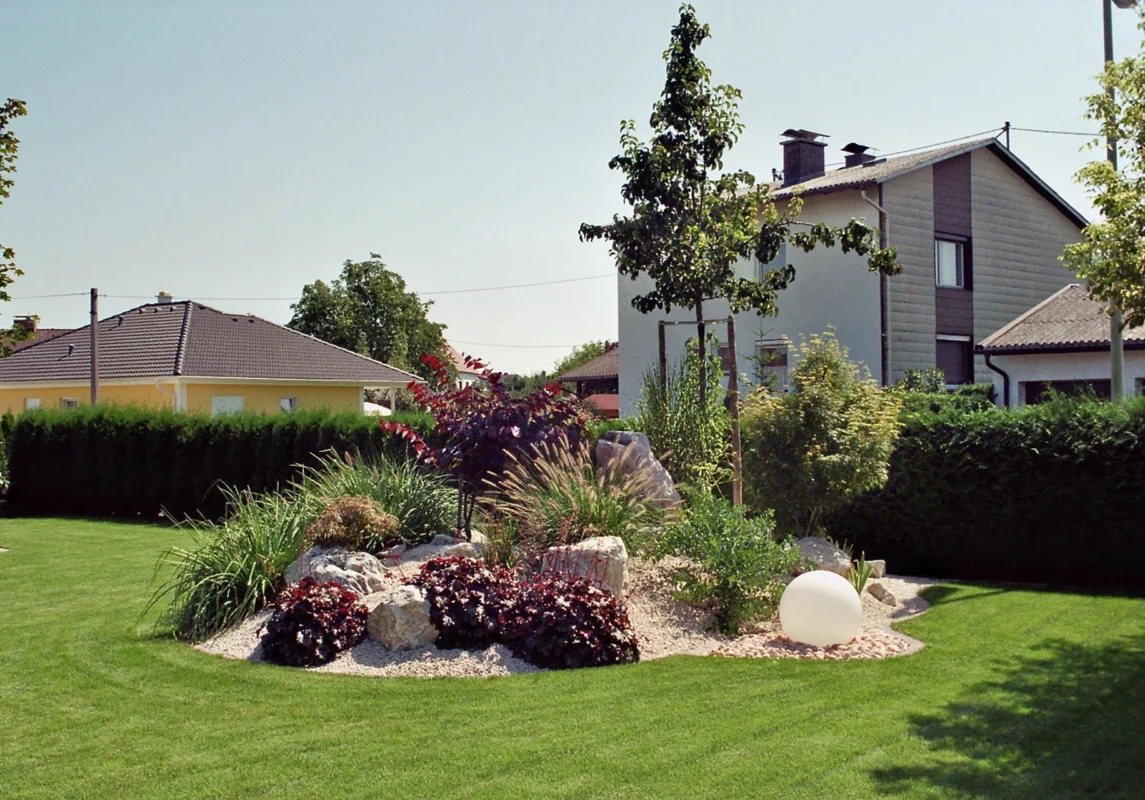 Frisch gepflanzte Hecke als Gartenbegrenzung