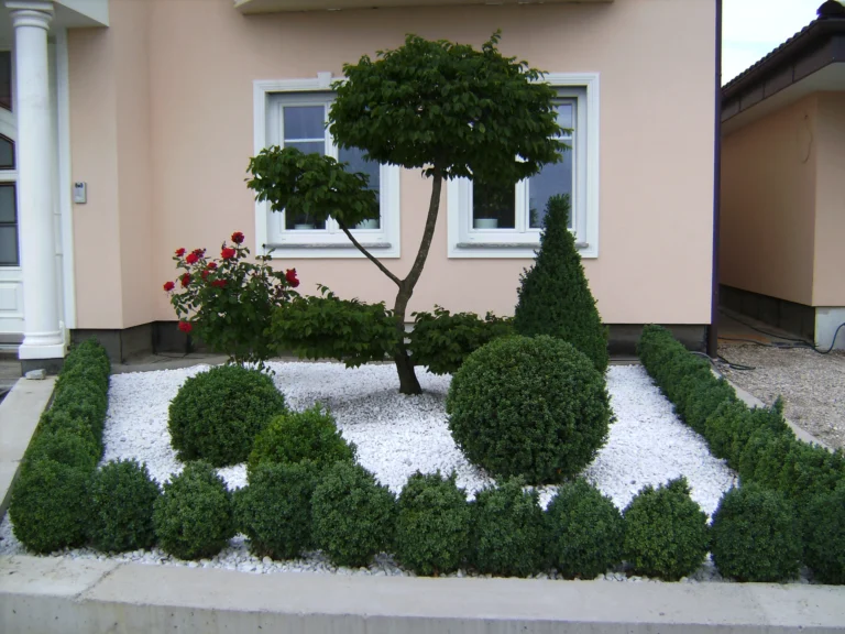 Baum-Pflegeschnitt durch Fachleute